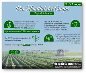 7 de marzo
